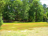 West Columbia Lots and Land
